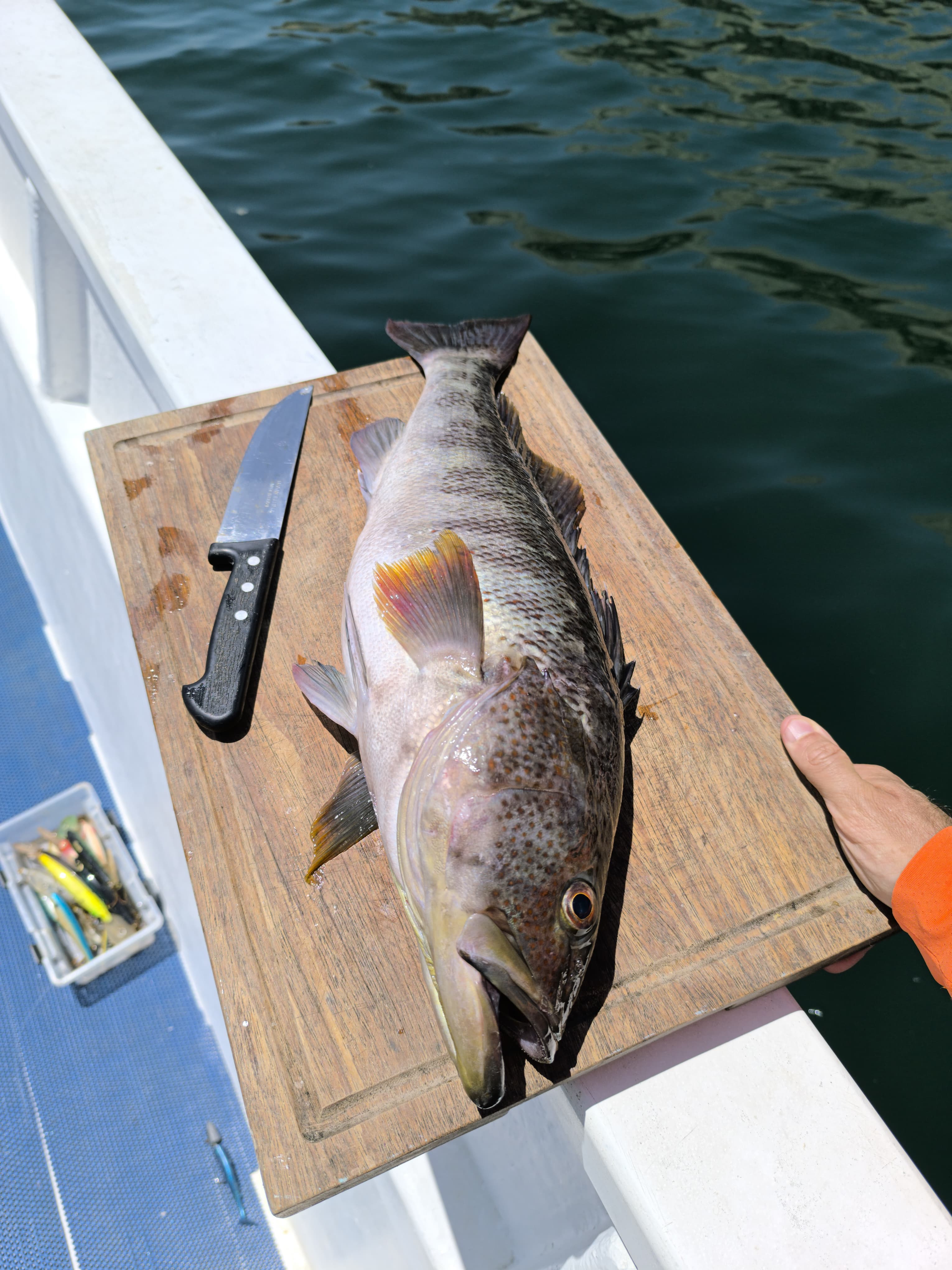 Salida de pesca con el Capitán Jhonatan Rivera en Pucusana - Abril 2025 - foto 5