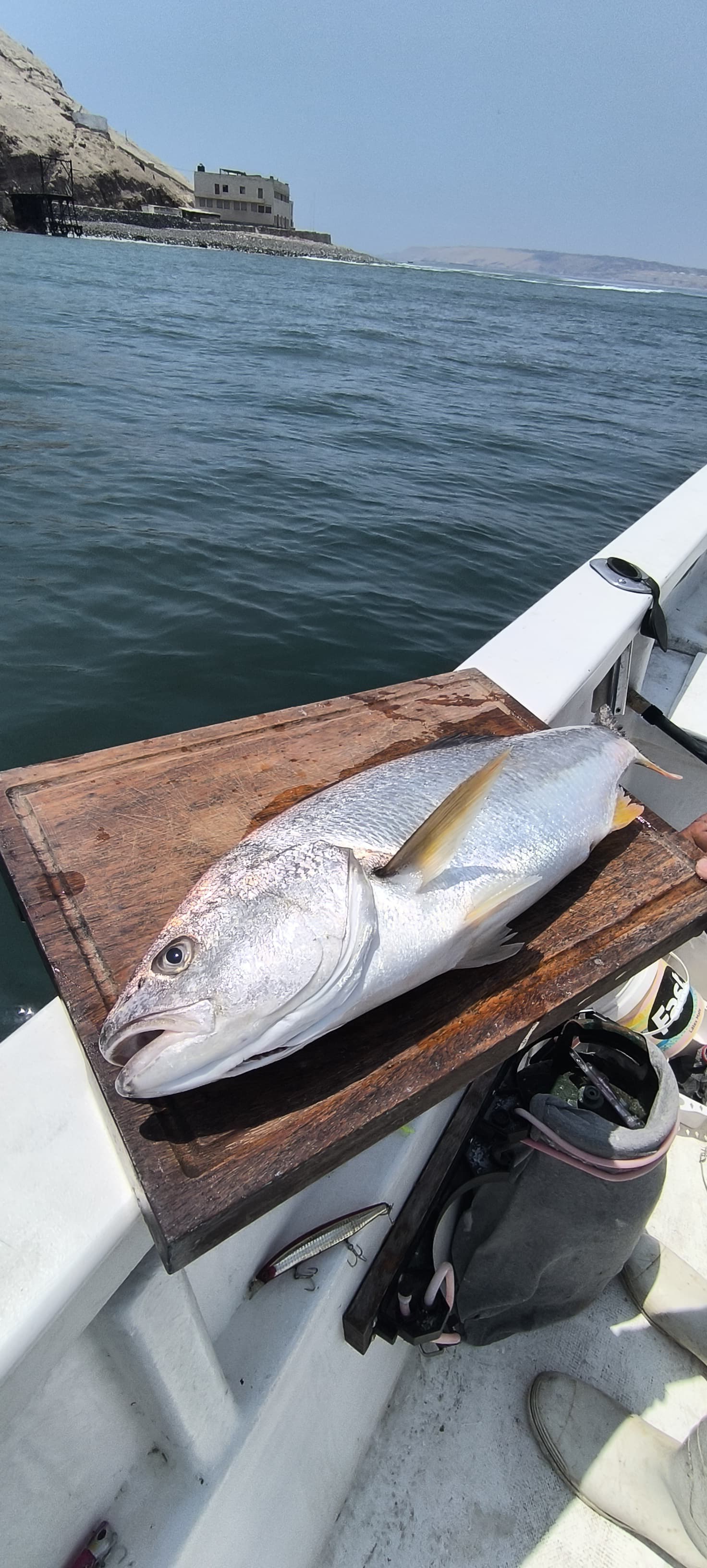 Salida de pesca con el Capitán Jhonatan Rivera en Pucusana - Abril 2025 - foto 10