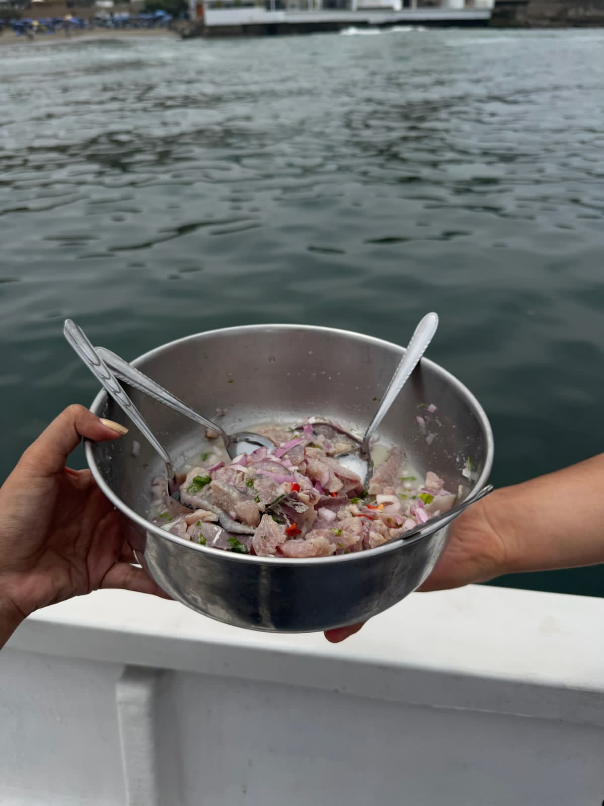Captura de peces en Pucusana con Pucusana Fishing Club - Octubre 2025 - foto 1