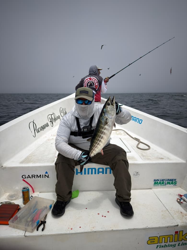 Salida de pesca deportiva en Pucusana, Lima - Enero 2026 - foto 2