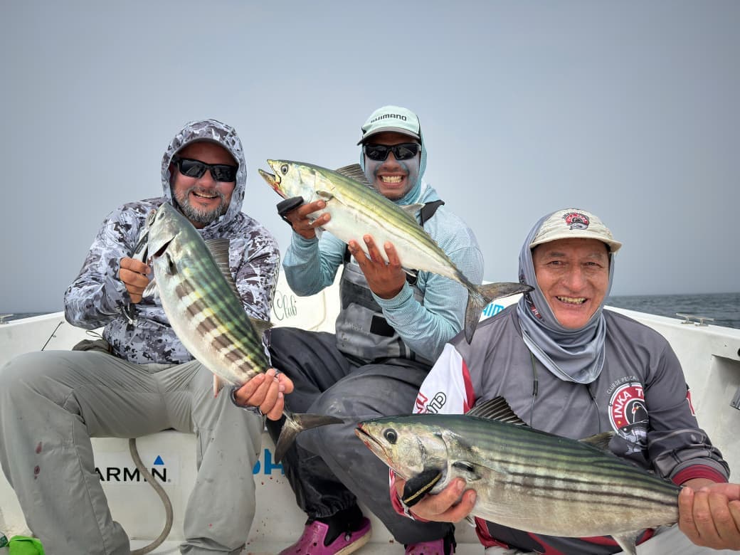 Salida de pesca deportiva en Pucusana, Lima - Enero 2026 - foto 4