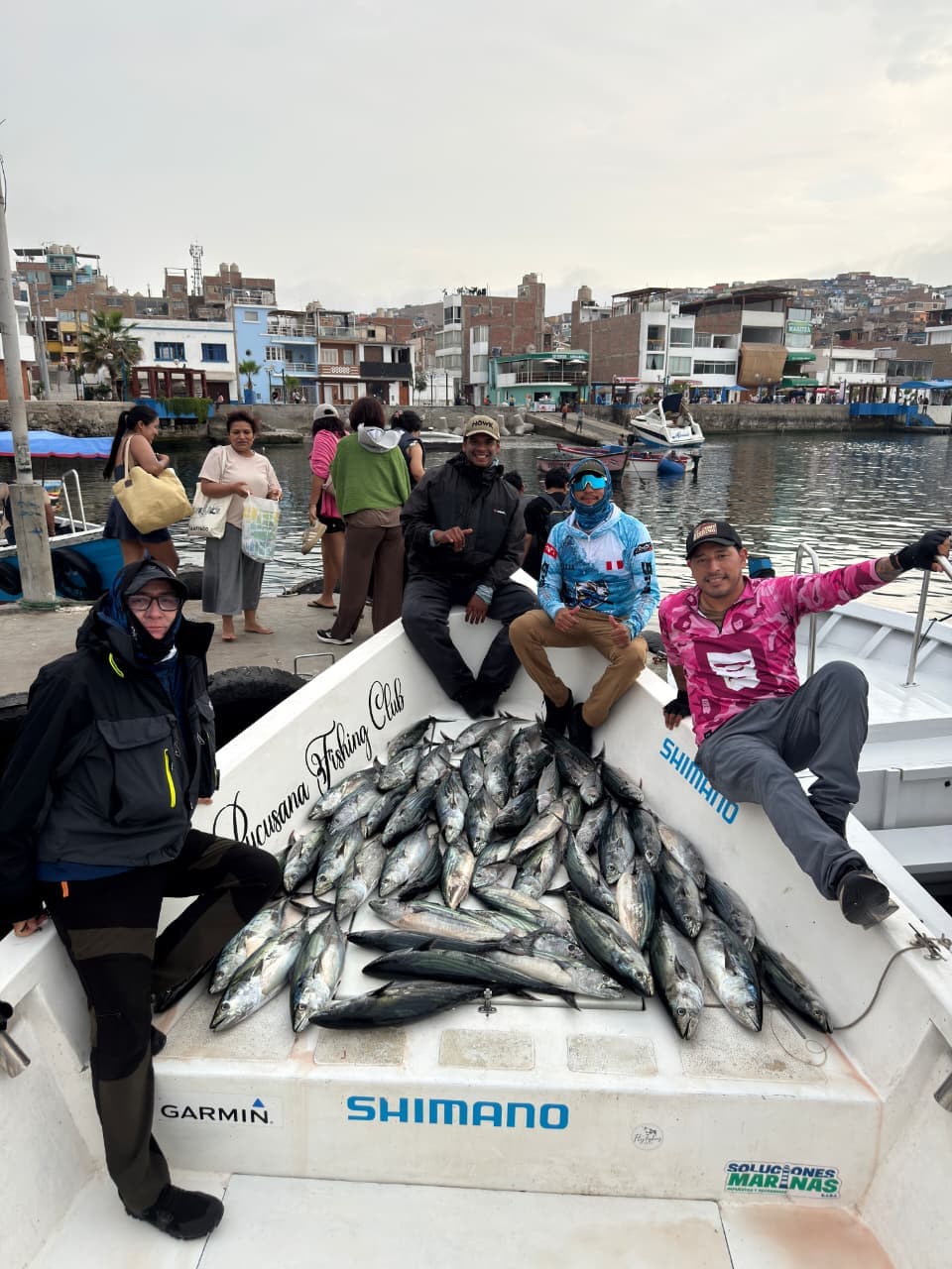 Salida de pesca deportiva en Pucusana, Lima - Enero 2026 - foto 8